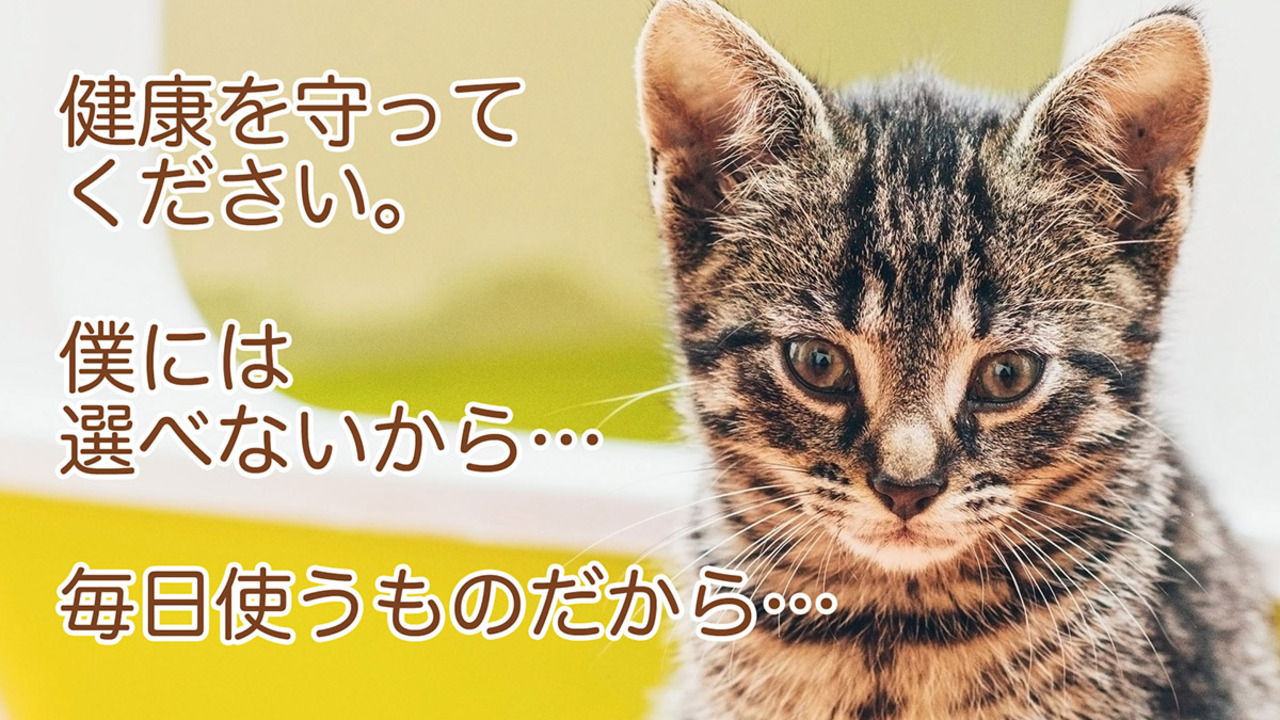 猫砂 木の猫砂 針葉樹 木質ペレット オーガニック 無添加 誤食 防止 流せる 燃やせる 固まらない 殺菌 消臭 脱臭 清潔 衛生 健康  日本製 国産 子猫 シニア システムトイレ 多頭飼い トイレに流せる 自然素材 杉にゃん 大粒 タイプ 30L (5L×6袋) 猫寿命25年を  ...