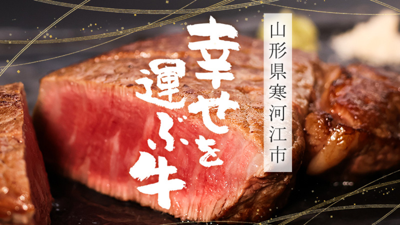 ふるさと納税 山形県 寒河江市 ＜2024年4月上旬＞＜毎年大好評の20kg＞山形の定番！「清流寒河江川育ち 山形産はえぬき20kg」2023年産　029-C-JA… 2026年先行予約 6回 定期便果樹王国を堪能コース 山形県 東根市 さくらんぼ もも プラム シャインマスカット ラ・フランス りんご  hi999-045