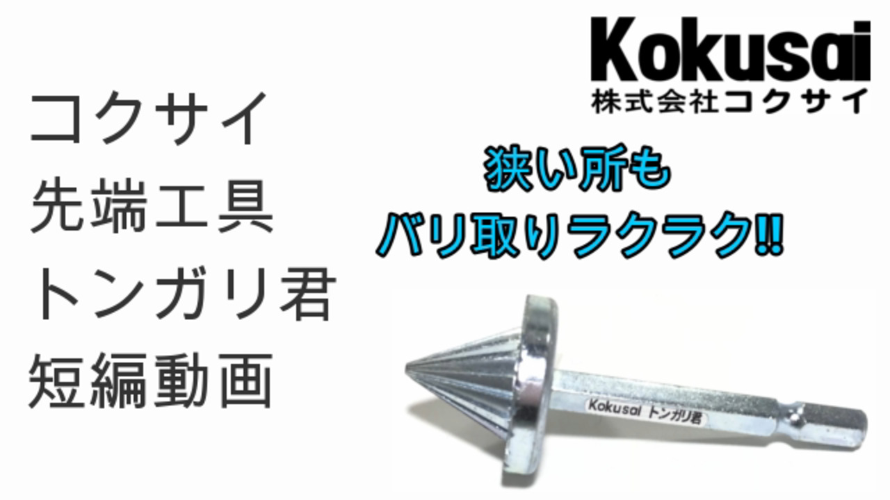 楽天市場】【14時までの注文で当日出荷・送料無料】トンガリ君