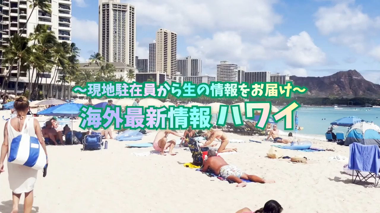 ハワイ旅行 ハワイツアー おすすめプランを紹介 阪急交通社 ハワイ旅行 ハワイツアー おすすめプランを紹介 阪急交通社