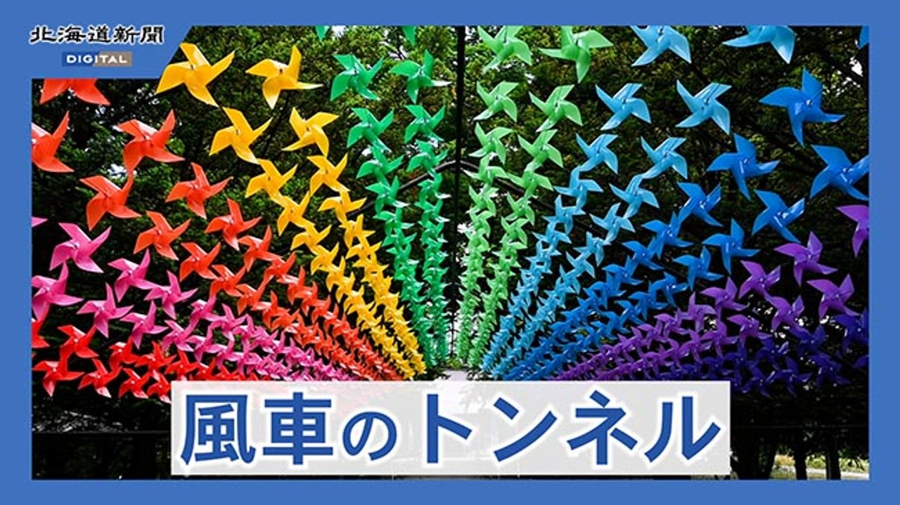 表情豊か木彫りクマ 上士幌の伊藤さん帯広で個展（動画）：北海道新聞 