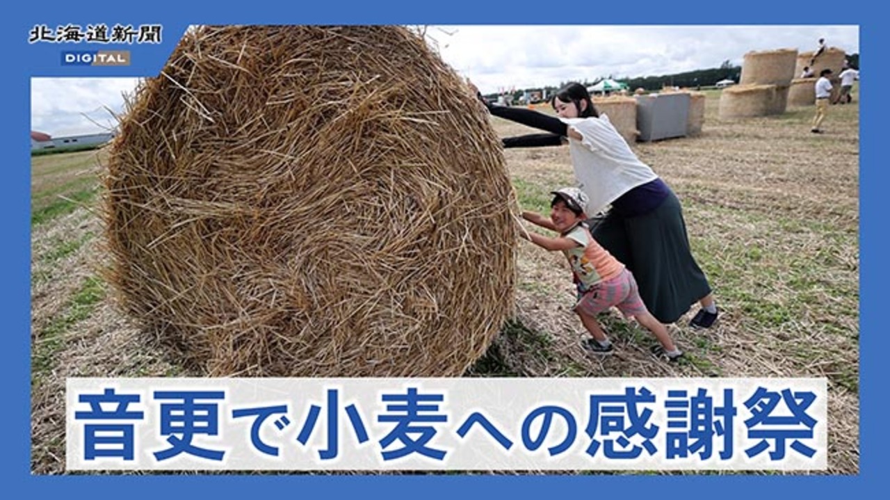 麦の恵みに感謝 畑に巨大アート 音更で収穫祭：北海道新聞デジタル