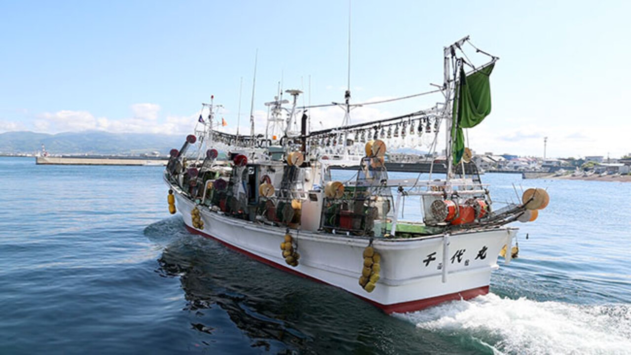 スルメイカ豊漁を期待 小型漁船が出港 函館 北海道新聞 どうしん電子版