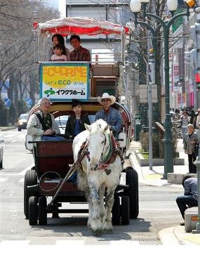 幌馬車そう快 今季営業スタート(動画):北海道新聞デジタル