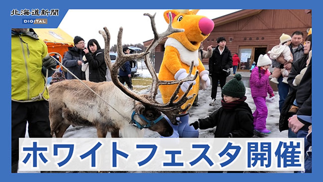 Xマス♡トナカイのイヤリング♡ トナカイに触れてXマス気分 幌延・観光牧場でフェスタ：北海道新聞デジタル