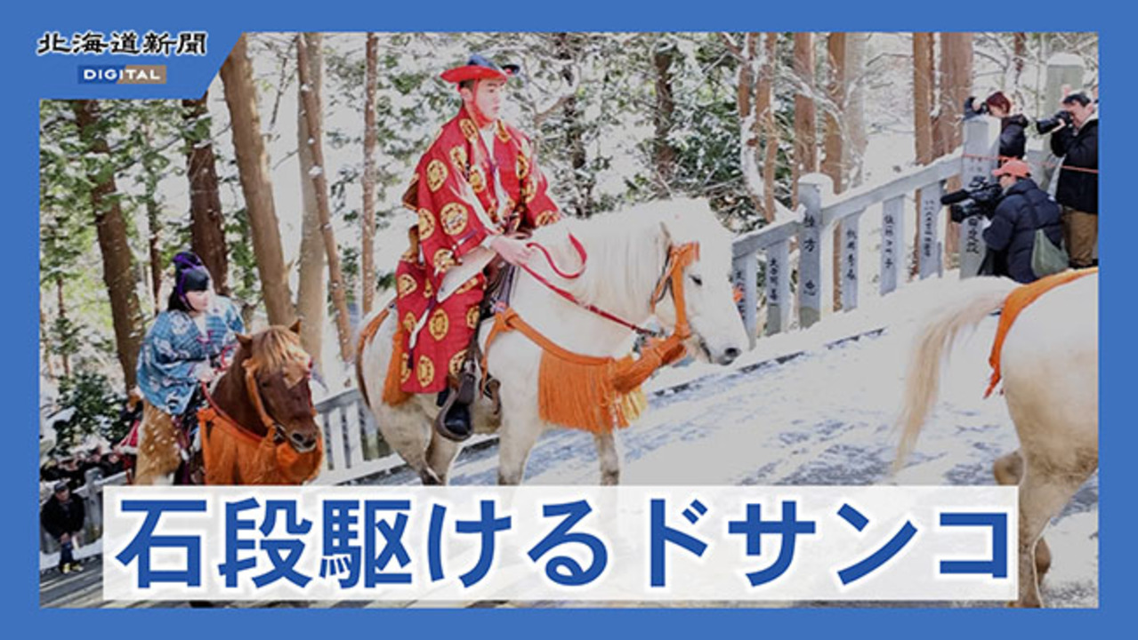 t*1様 ラブバード 田中テルアキ ブローチセット 木彫り 鳥 t*1様 ラブバード 田中テルアキ ブローチセット 木彫り 鳥