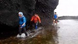 知床岬から１キロ斜里側の海岸で頭蓋骨などを発見