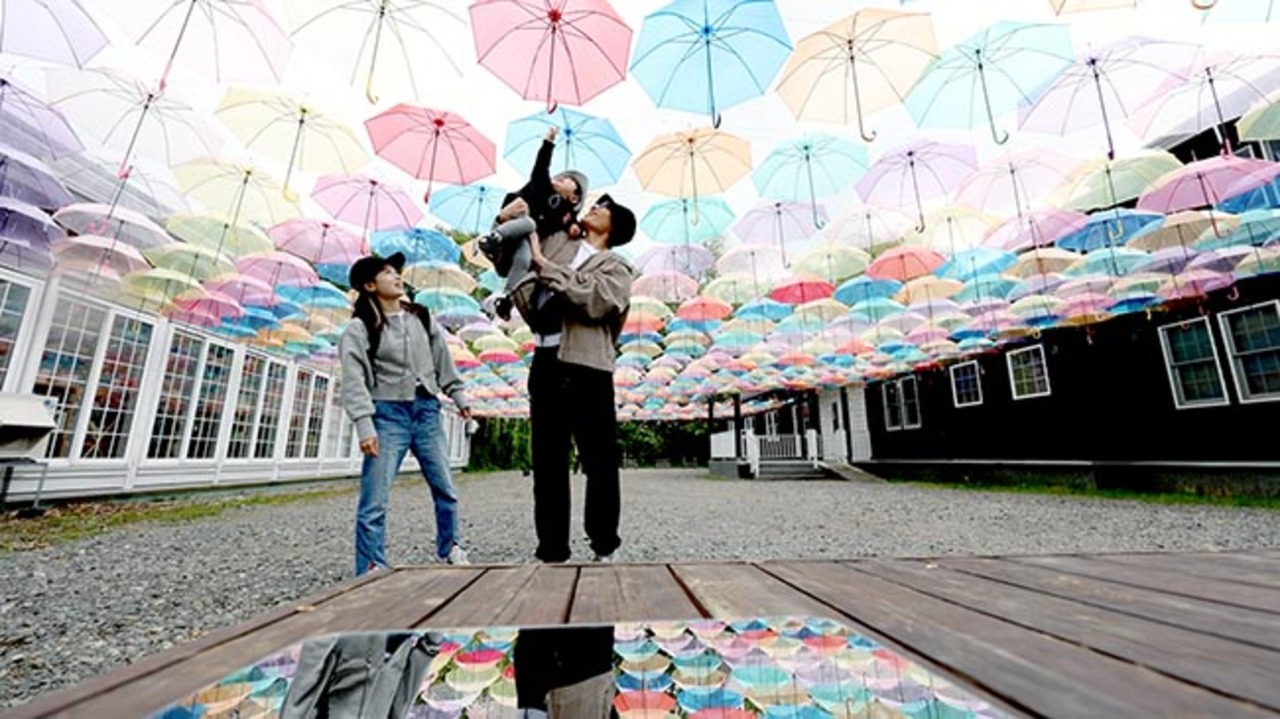 カラフルなビニール傘が庭園に彩り 幕別「十勝ヒルズ」でアンブレラ