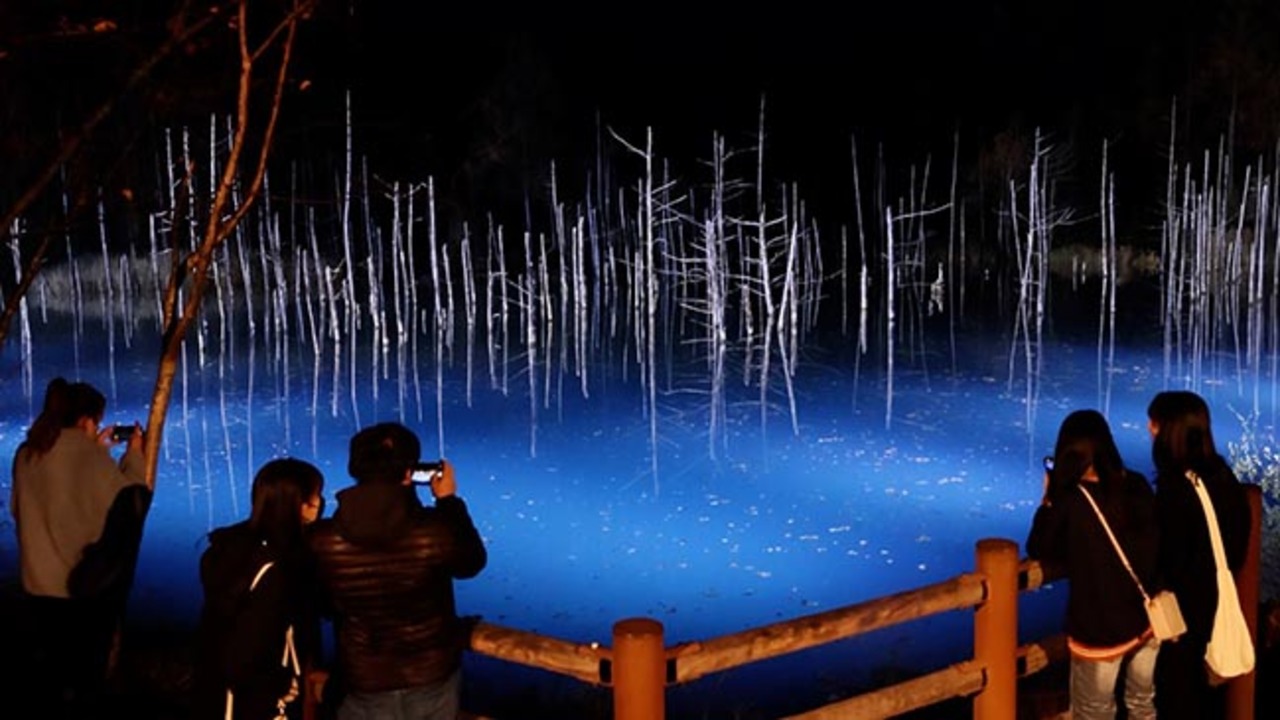 美瑛の「青い池」　恒例のライトアップ１１月１日から　試験点灯で幻想的に