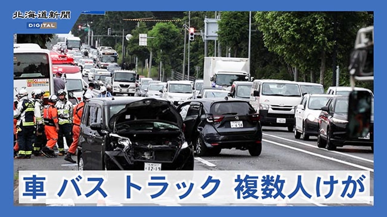 活動歴および当時の関連ビジュアル記録