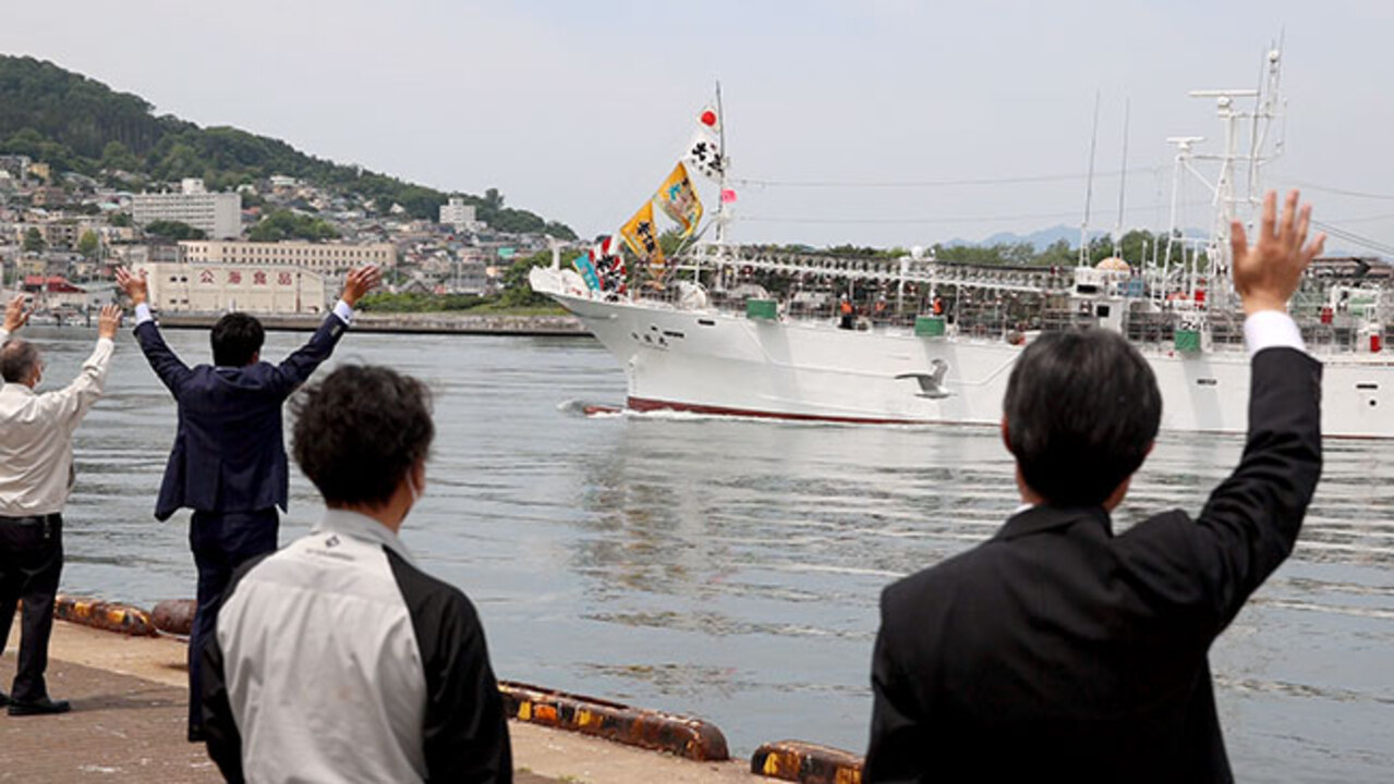 スルメイカ 今年こそ豊漁を 函館から中型船出港 北海道新聞 どうしん電子版