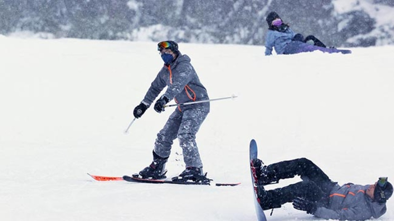 「パウダースノー楽しんで」　札幌市内のスキー場　オープン