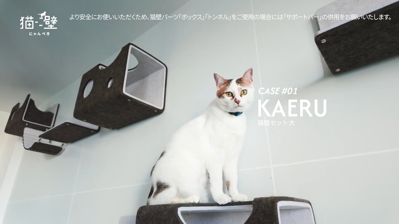 LIXIL】猫壁愛用者が語る！快適な猫壁生活の秘訣 | LIXIL-X: 動画配信