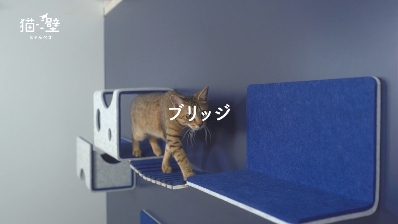 LIXIL】猫壁 （にゃんぺき）ブリッジ コンセプトムービー