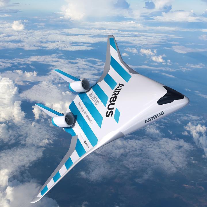 飛行機色々 飛行機の翼はしなっている!! - Skyart JAPAN