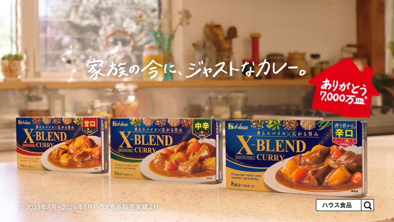 完売 クロスブレンドカレー 辛口 素早かっ ハウス食品 1個 8皿分 140g コレクション