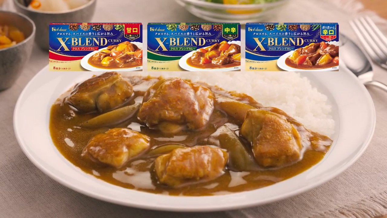 九州エリア特設サイト | X-BLEND CURRY（クロスブレンドカレー
