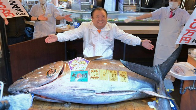 豊洲マグロ初競り、史上最高値の5億1030万円　青森・大間産