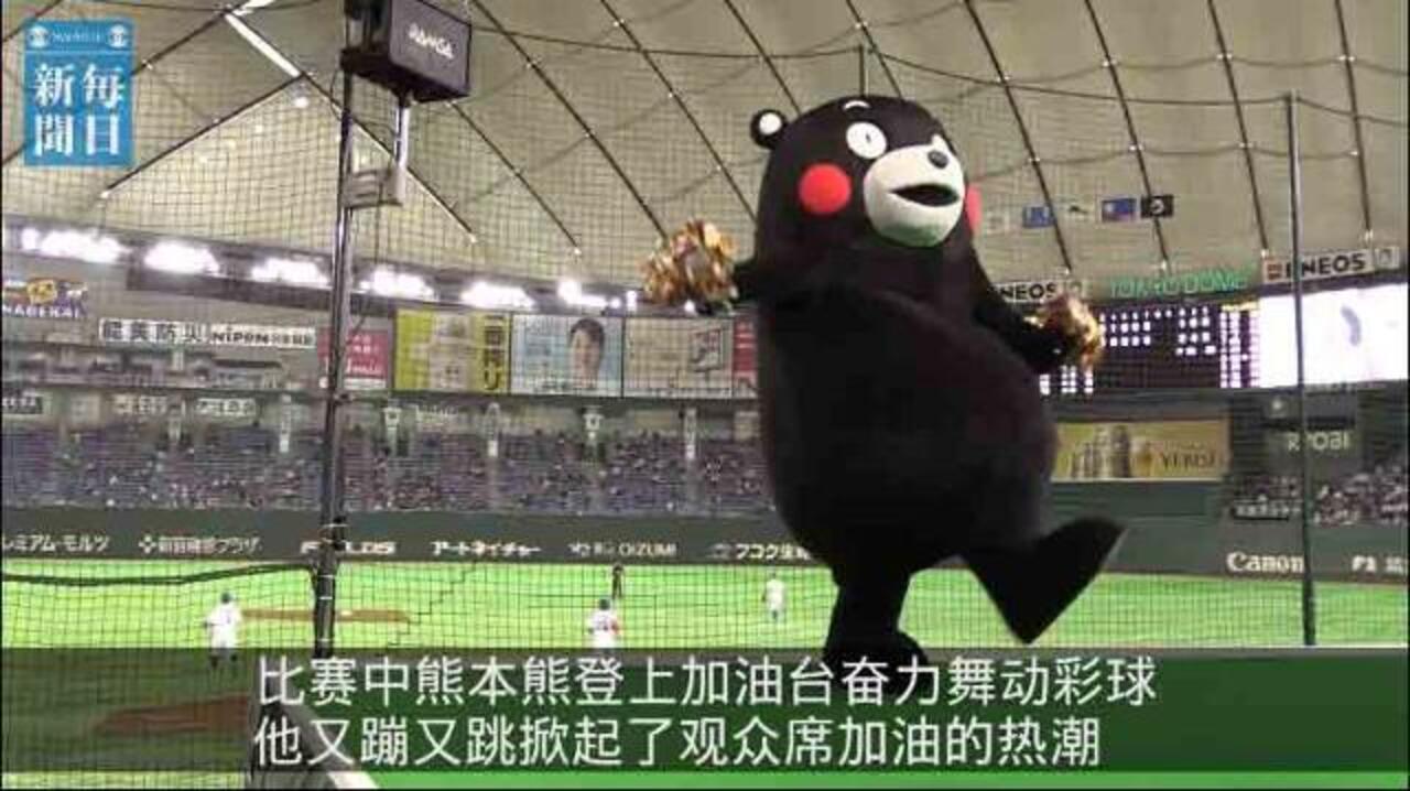 “熊本熊”变身啦啦队员，为棒球大赛加油助威 东京巨蛋