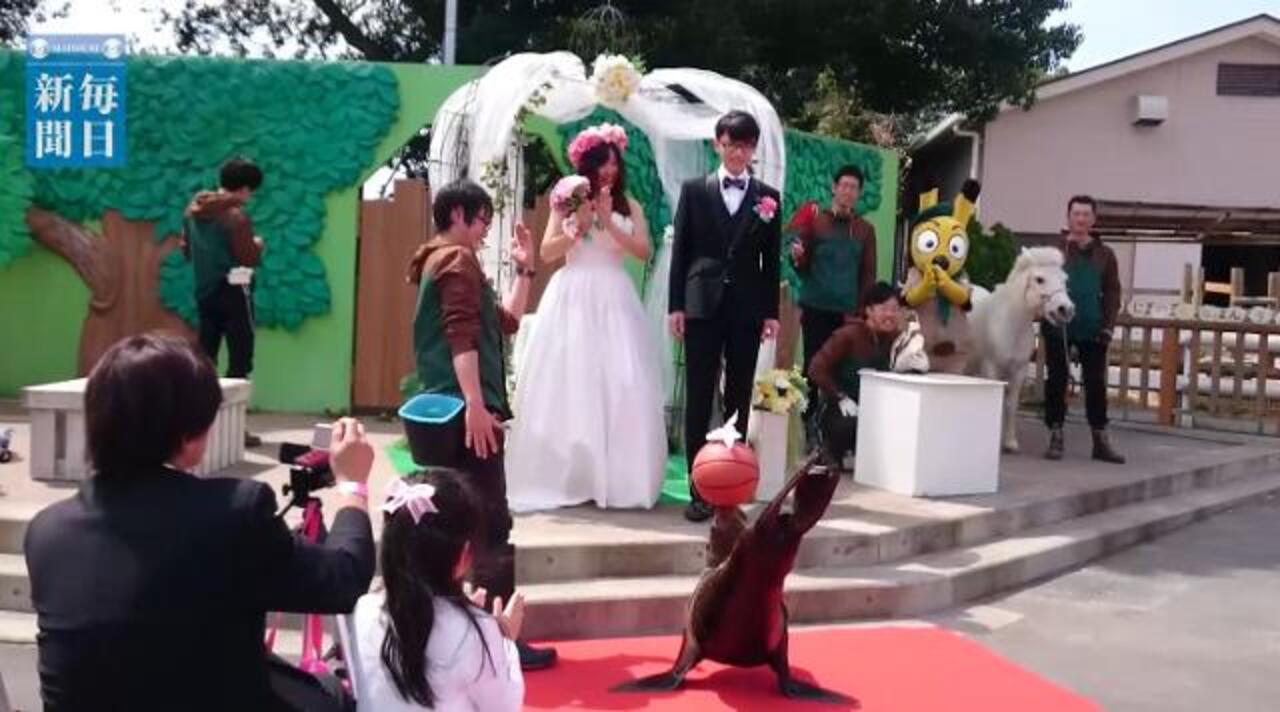 動物園結婚式 オットセイやペンギンが祝福 埼玉 毎日新聞