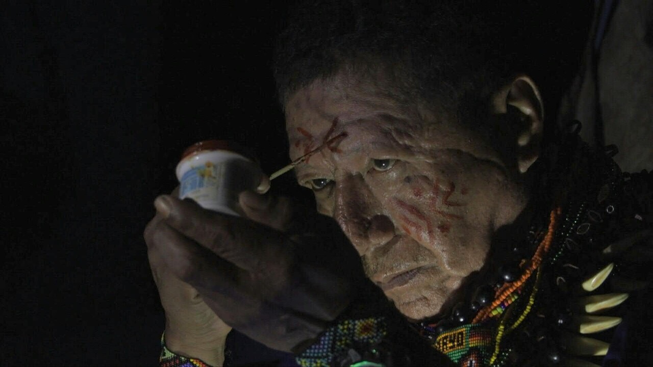 字幕：霊界への扉開く「アヤワスカ」 エクアドル・アマゾン 写真
