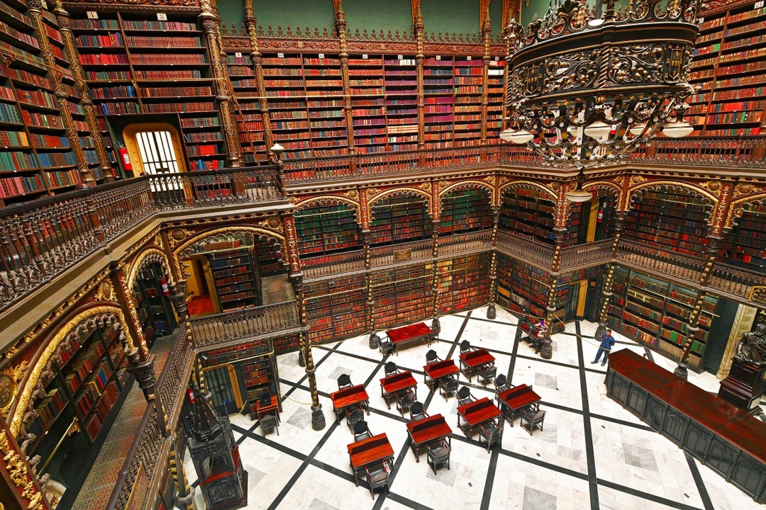 動画 まるで ハリー ポッター の世界 ブラジルの幻想的な図書館 写真1枚 国際ニュース Afpbb News