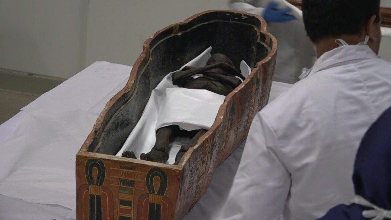 動画 古代エジプトのミイラ 報道陣に公開 消毒作業を前に 写真1枚 国際ニュース Afpbb News
