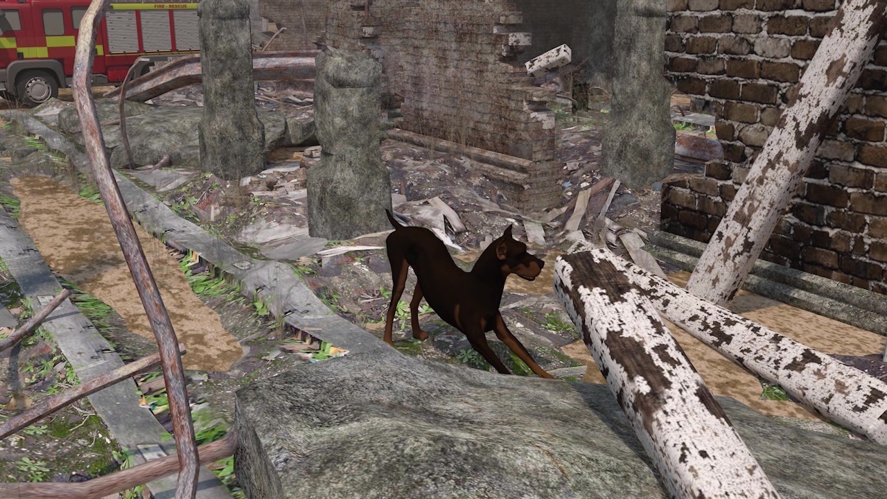 字幕 ビデオグラフィック 犬の嗅覚 写真1枚 国際ニュース Afpbb News