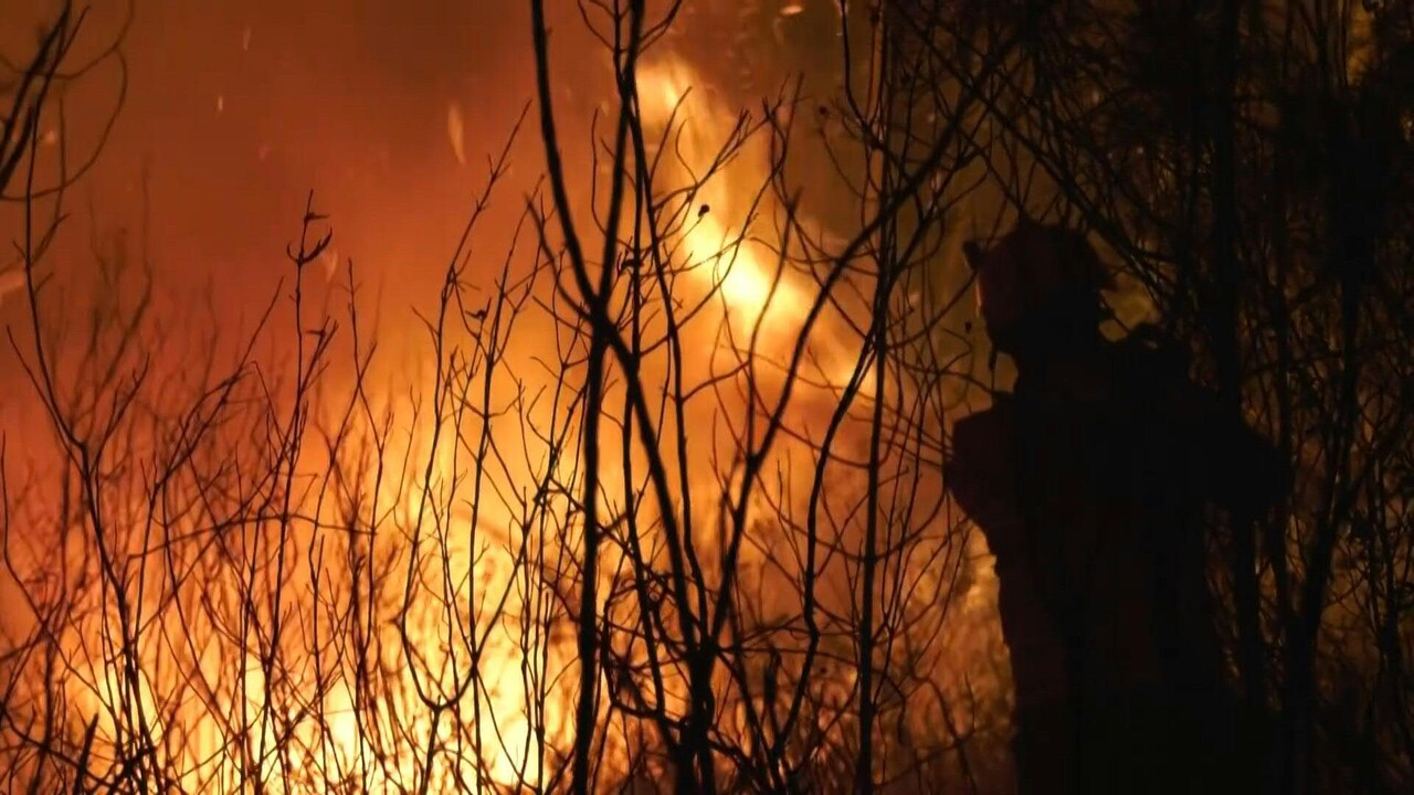 動画 ポルトガル中部で山火事 消防隊員1700人が消火活動 現場の映像 写真1枚 国際ニュース Afpbb News