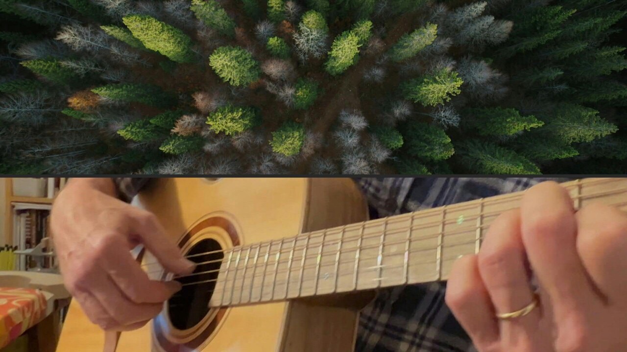 字幕：ギターの音色にも影響か 温暖化で楽器用木材に危機 写真1枚 国際