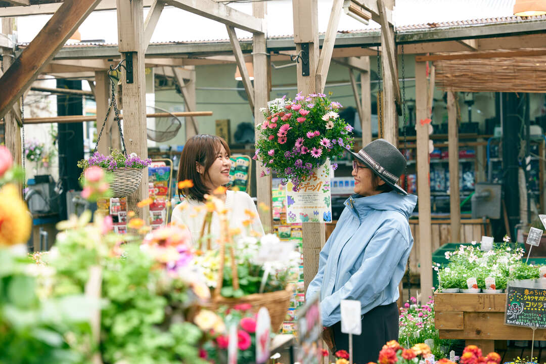 庭がなくてもガーデニング初心者でも！ 花を存分に楽しむ「寄せ植え」という