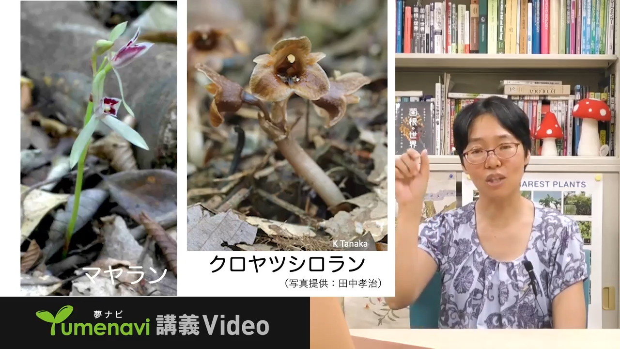 佐賀大学 農学部 研究者による講義