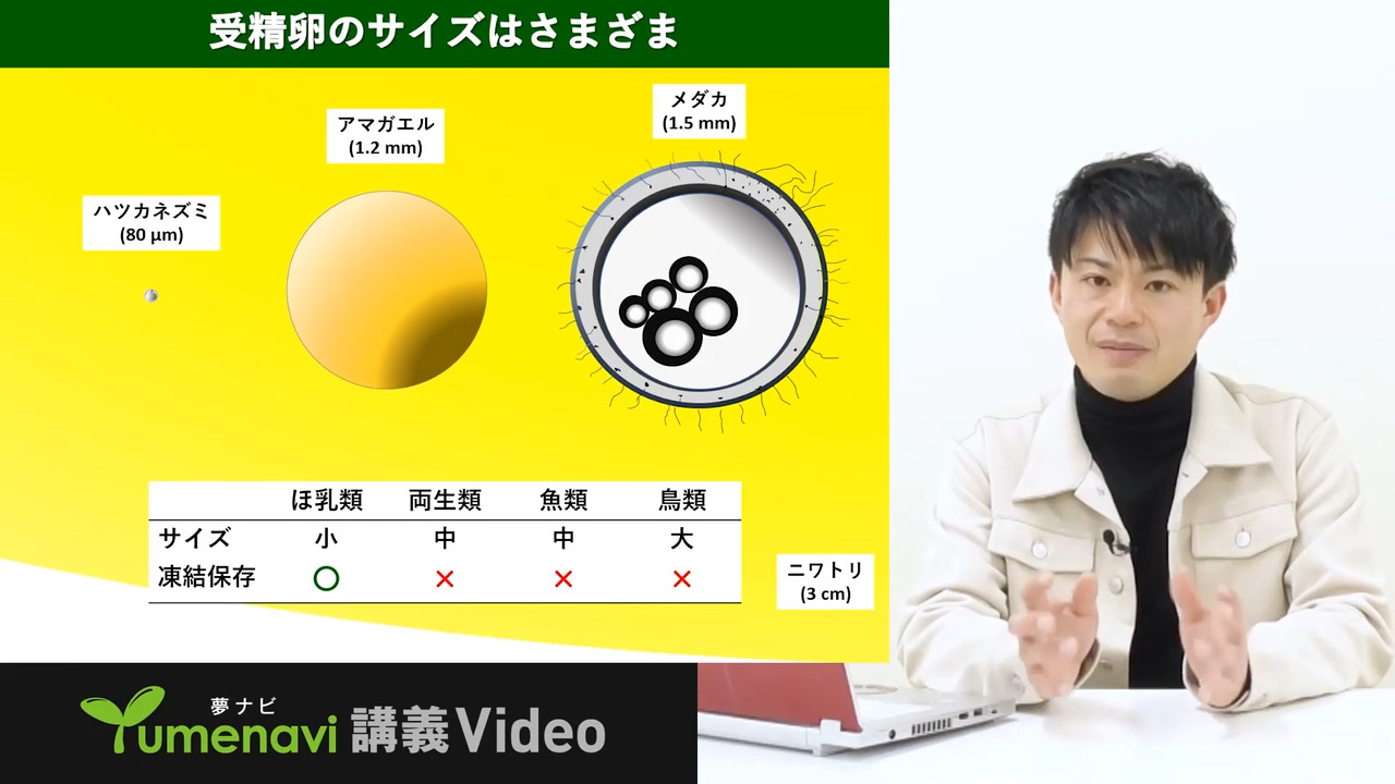成績1位です】広島大学工学部一類の教科書全部！