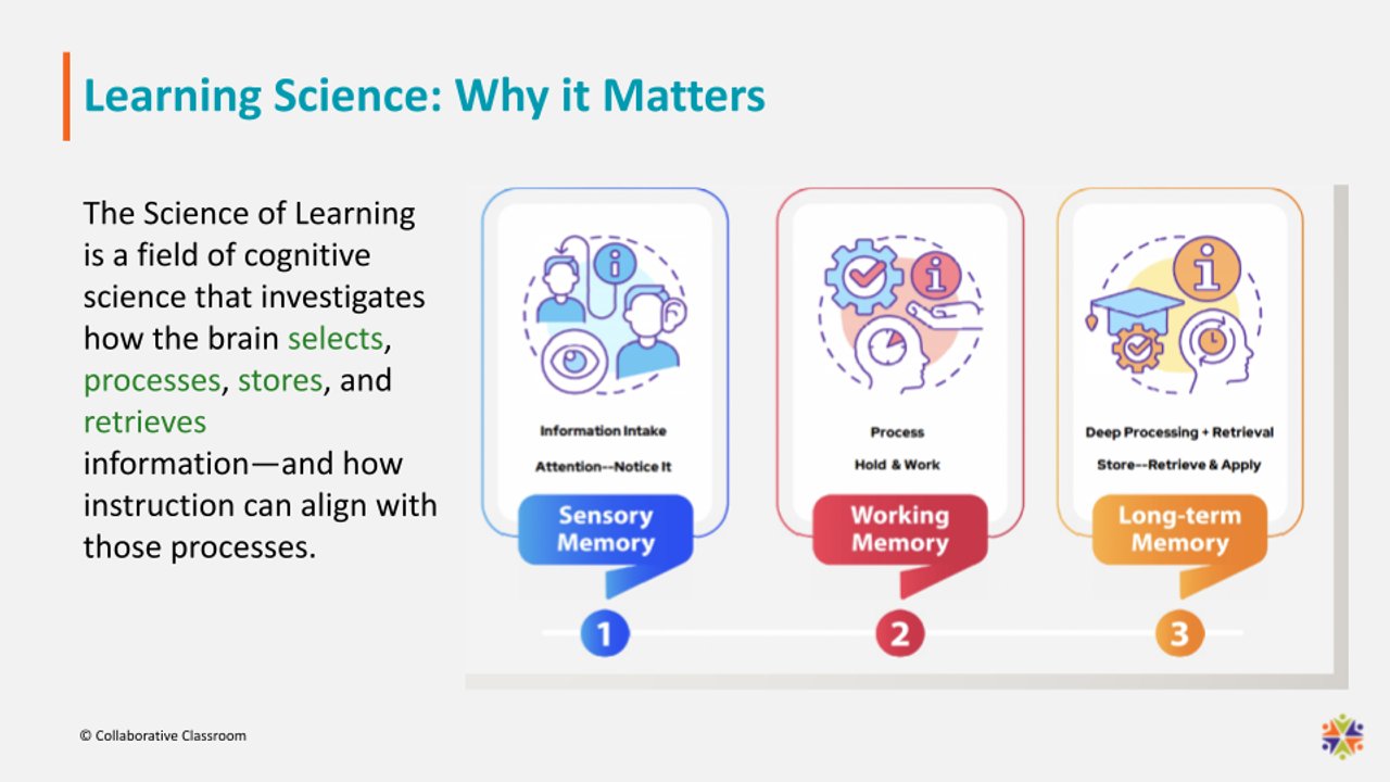 Why Literacy Success Depends on More Than the Science of Reading