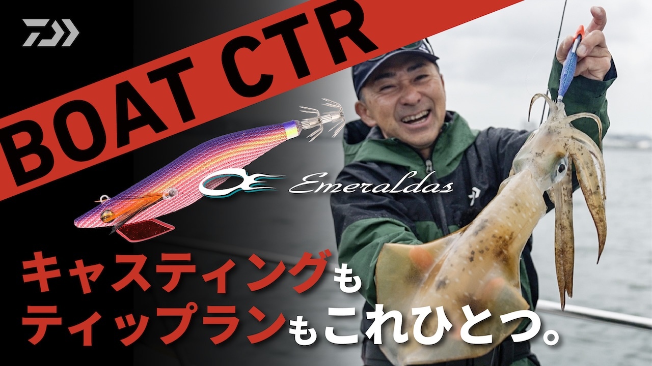 エギング｜釣り情報｜DAIWA