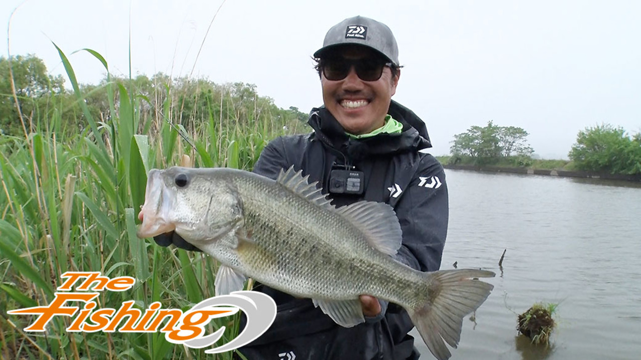 The Fishing フロッグで攻略 岐阜県五三川のバスフィッシング Daiwa Channel