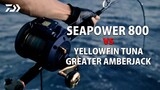 SEAPOWER 800 VS YELLOWFIN TUNA / GREATER AMBERJACK | 船最前線