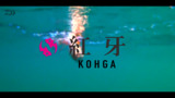 紅牙 X(ロッド)|DAIWA 紅牙 X(ロッド)|DAIWA