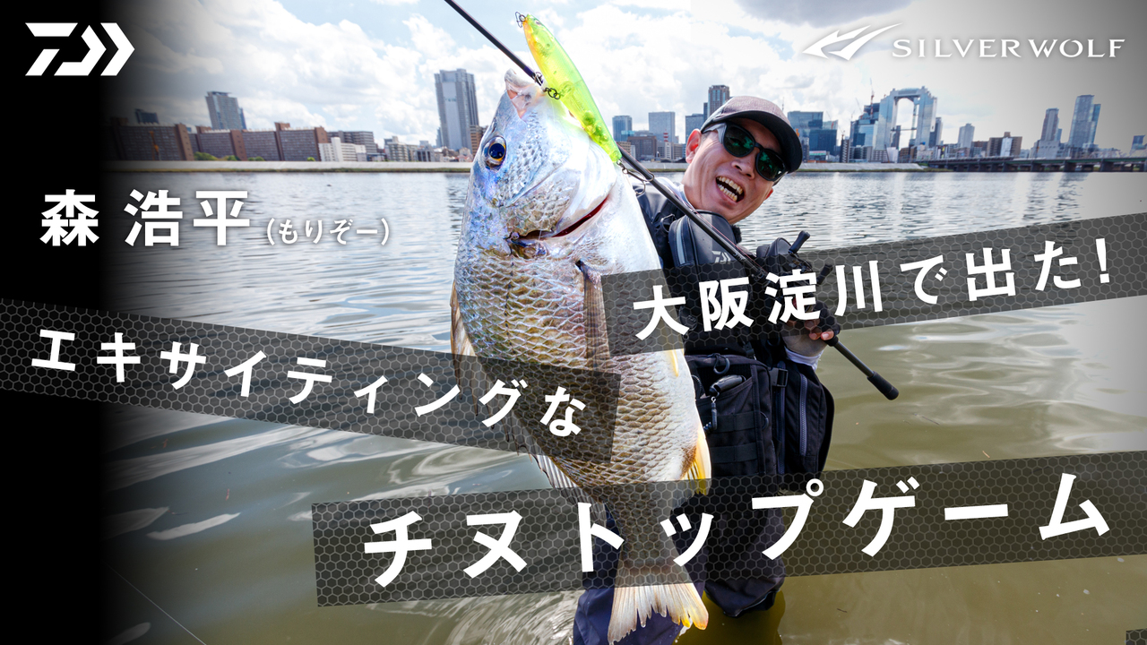 SILVER WOLF EX | DAIWA