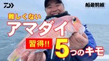 アナリスター ライトゲーム(ロッド)｜DAIWA