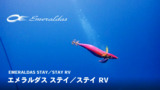 エギング|釣り情報|DAIWA エギング|釣り情報|DAIWA