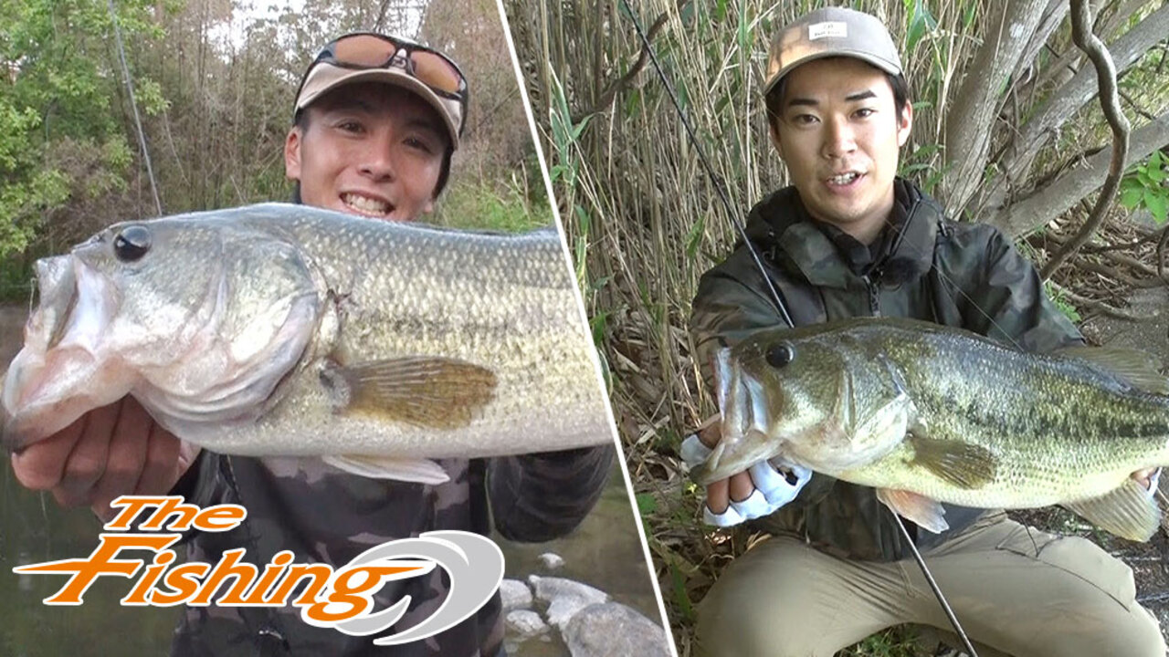 バス Daiwa Channel