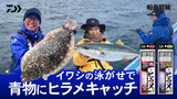 アドミラ A(リール)｜DAIWA
