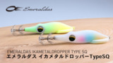 エギング｜釣り情報｜DAIWA