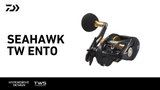 シーホーク TW 遠投(リール)｜DAIWA