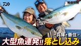 大型魚連発！！落とし込み in 兵庫・香住 | 船最前線