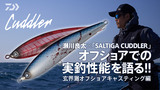 ソルティガ カドラー(ルアー)｜DAIWA