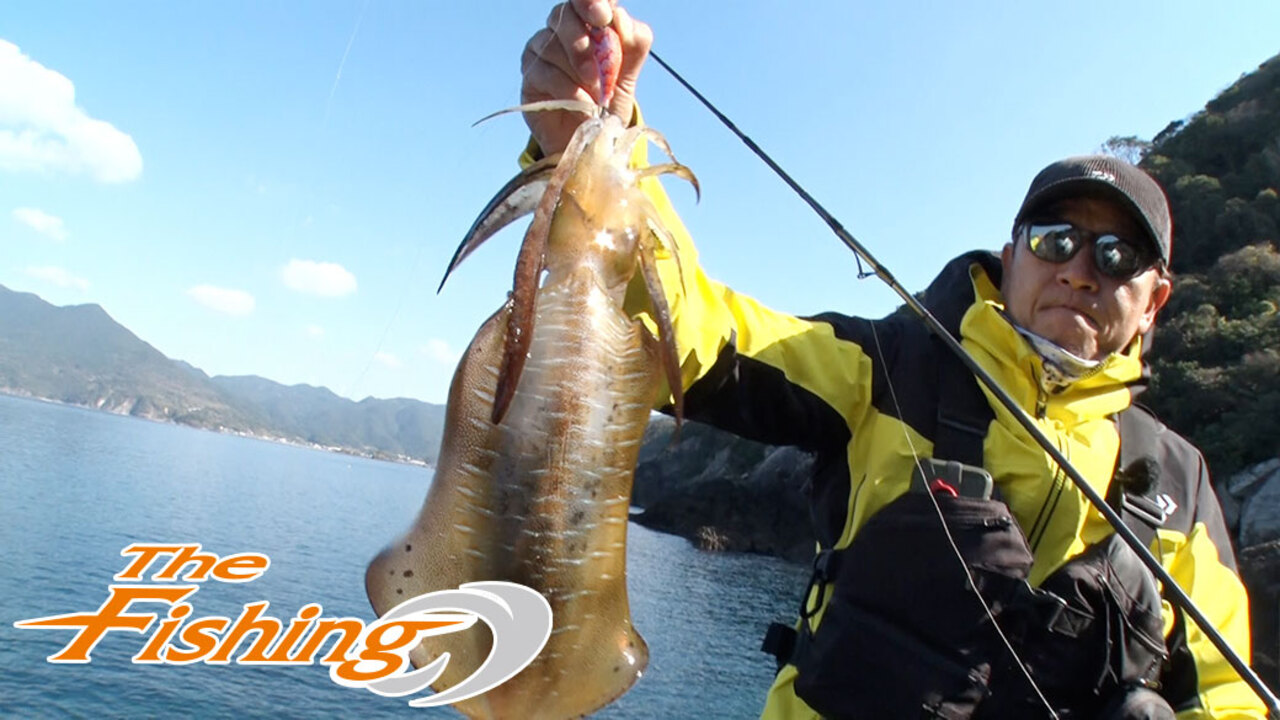 The Fishing 土壇場のエギングドラマ Daiwa Channel