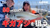 【ギガアジ狙い理論】瀬戸内海50cm越えギガアジを狙う！釣果が変わる仕掛けのチョイス | 船最前線