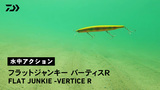 フラットジャンキー VERTICE R